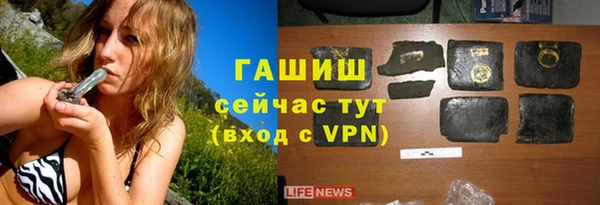 PSILOCYBIN Алзамай