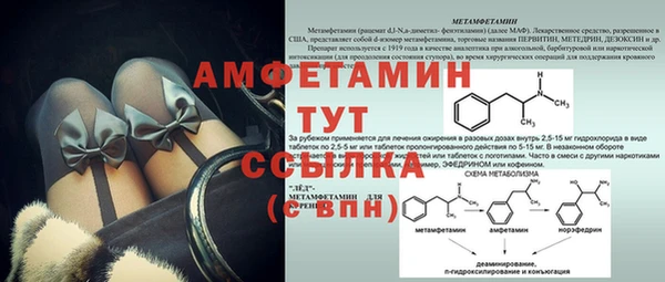 ПСИЛОЦИБИНОВЫЕ ГРИБЫ Переславль-Залесский