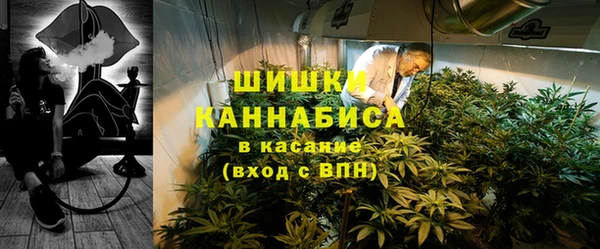 ПСИЛОЦИБИНОВЫЕ ГРИБЫ Переславль-Залесский