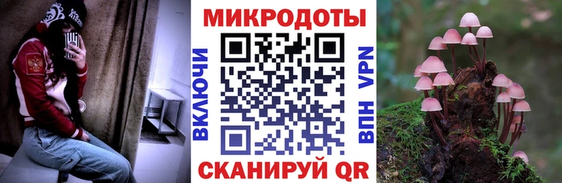 Псилоцибиновые грибы GOLDEN TEACHER  хочу наркоту  mega зеркало  Алушта 